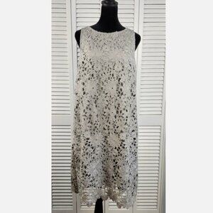 J.Jill Lace Shift Dress S Zinc Gray Knee Length Lined A‑Line NWT $129